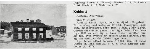 Kubbe-8-2